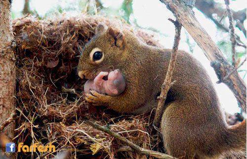 ������� �� ������ ����� � ����� ��� 