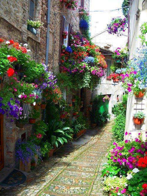 ����� Spello �� ������� !