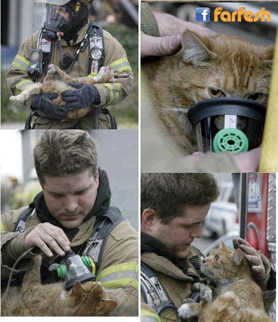 ������ ����� �� �����