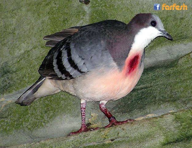 ���� ������� ��� ������ ������� ���� �� ����� ��� ������� 