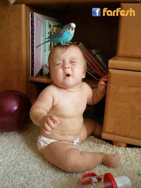 ���� �������