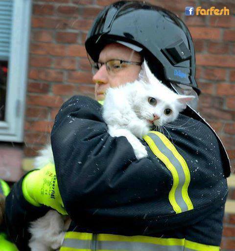 ������ �� �� ����� ������ �� �� ������