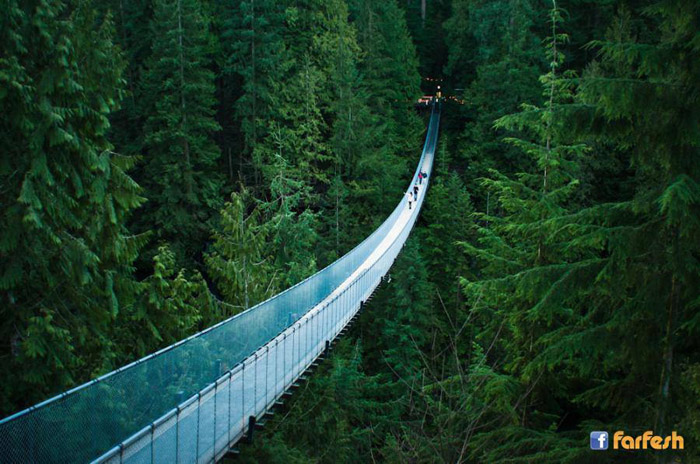 ���� ��� ������ ����!�