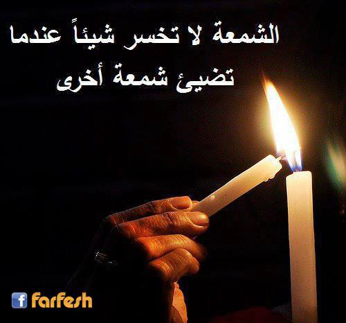 ������ ���������