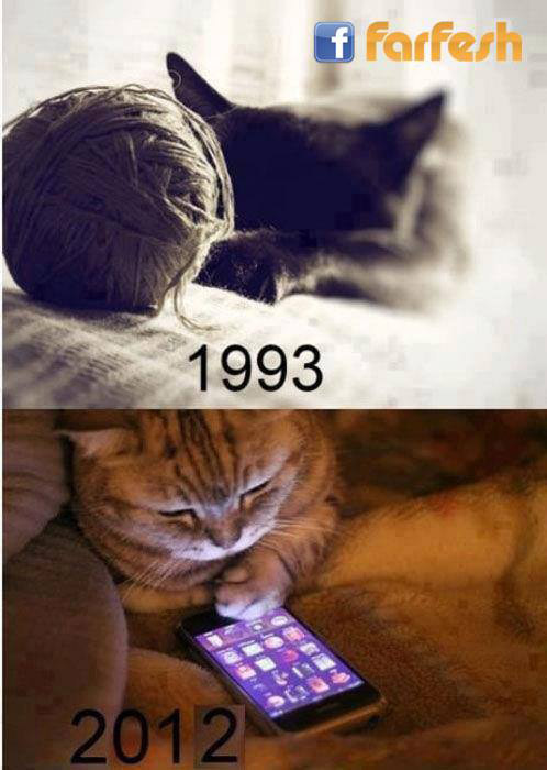 ��� ����� ���� ��������!