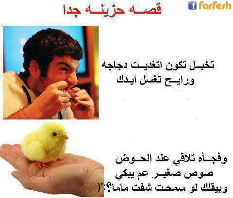 ������ ����!!