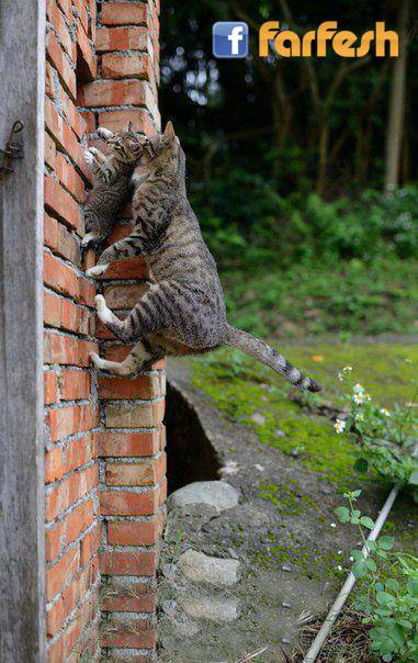 ����� ������� �� �� �������� �����