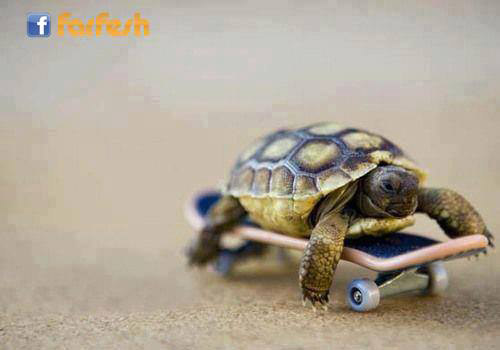 ��� ����� ��.