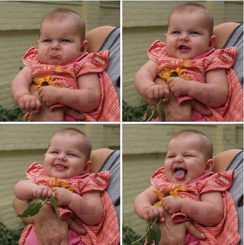 ���� ���� ���������