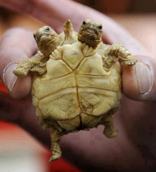 ������ ������ ����� ����!