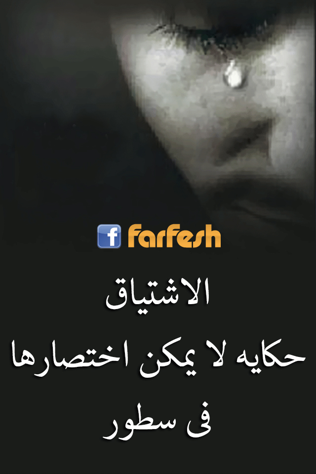 �������� �����  �����