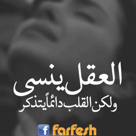 ����� ���� ���� ����� ������ �����