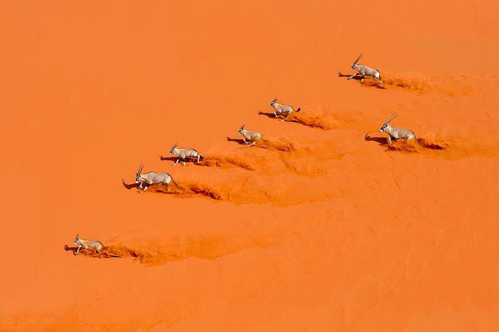 ���� �� ���� ����....���� �������