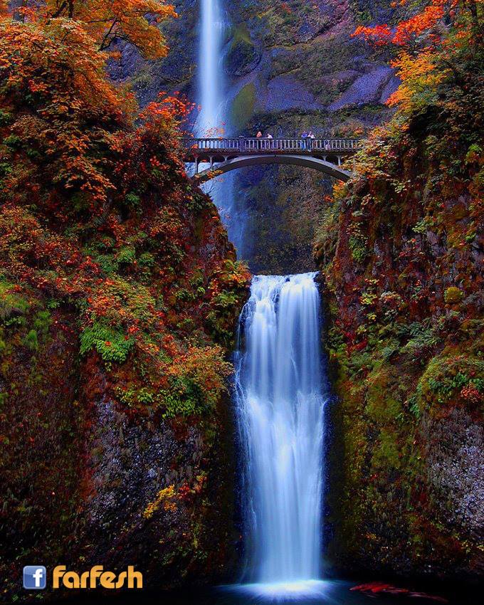 ������ ��������� � ������� � �������� ������� ���������