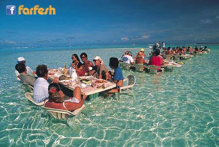 ��� ������� �� ����� ���� ����