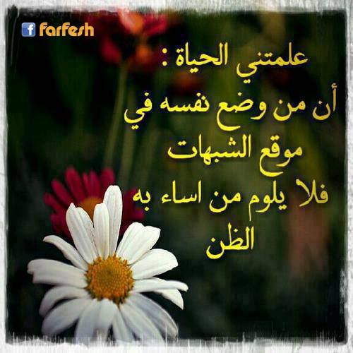 ���� ������ ������