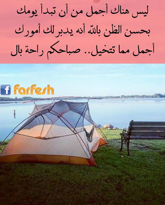 ������ ���� ���