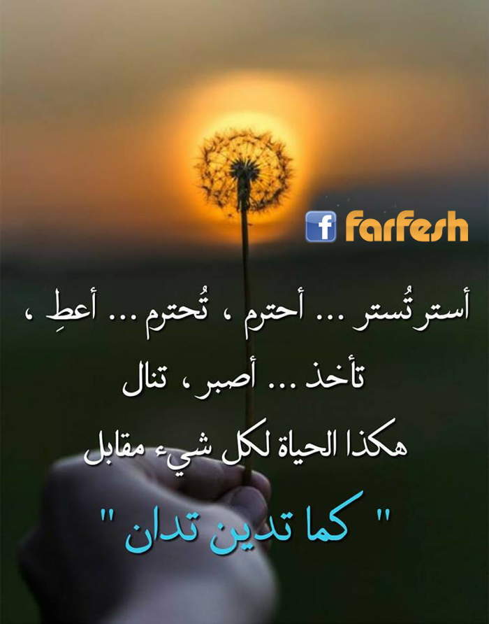 ��� ���� ����