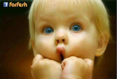 �� ����� �� ���� ����