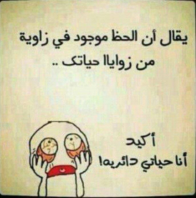 ���� ����� �� ������ ����� ���