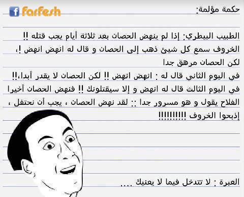 ���� ����� ����