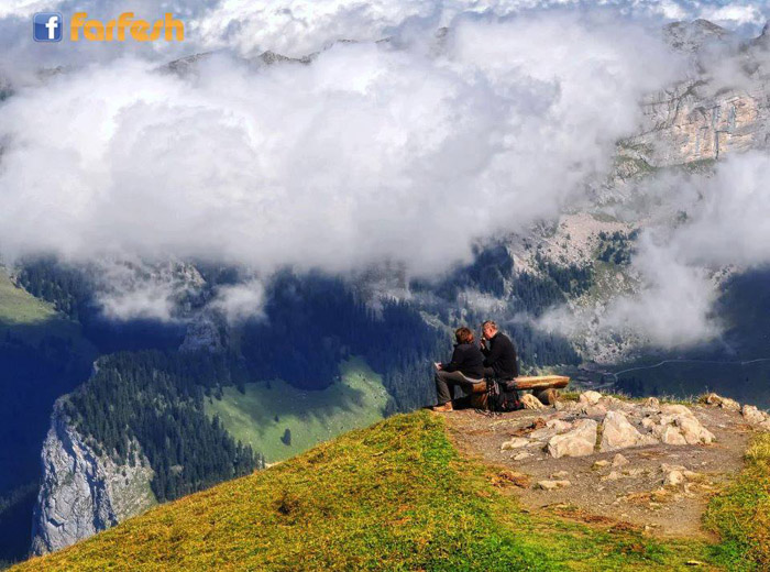 ���� ����� ���������