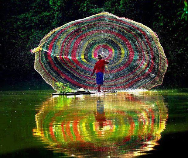 ���� ����� ����� ���� ���� ����� �������