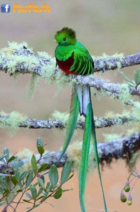 ���� ���� ������