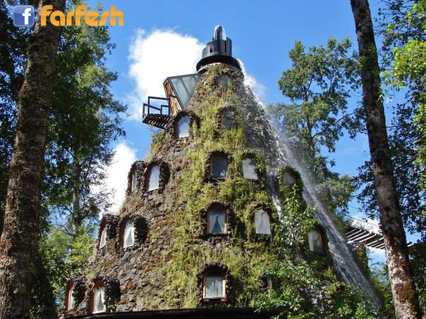 ���� ����