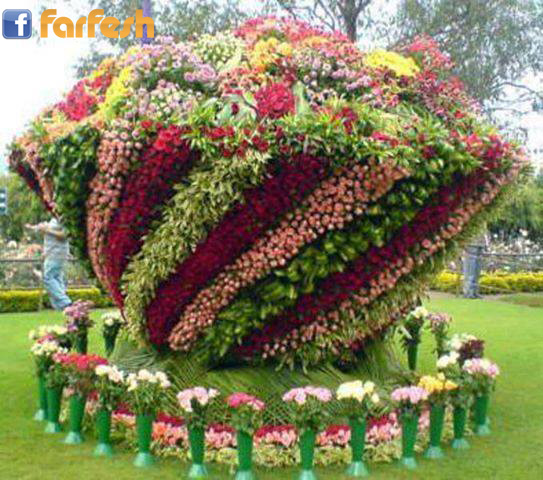 ����� ��� �� ������ ���� �����