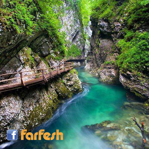 ����� ������� ���� ��������