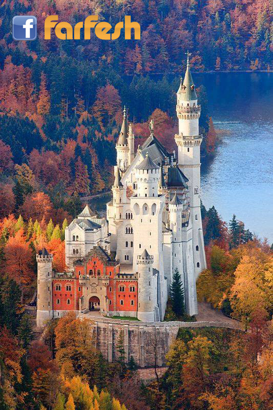 ��� ����� ���� �������