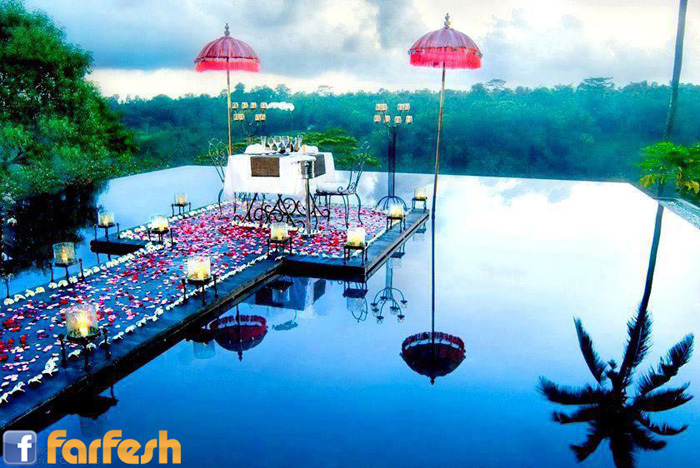 ����� ����������