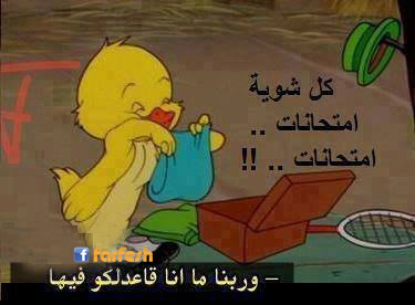 �������� .. ��������