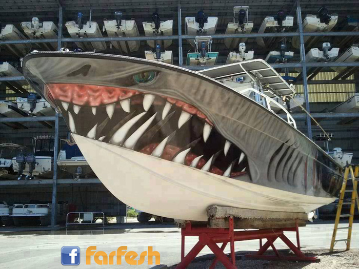 ���� ����� 