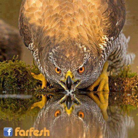 ���� �� ���� ������ ���� ���� ������� ����� ��� �����