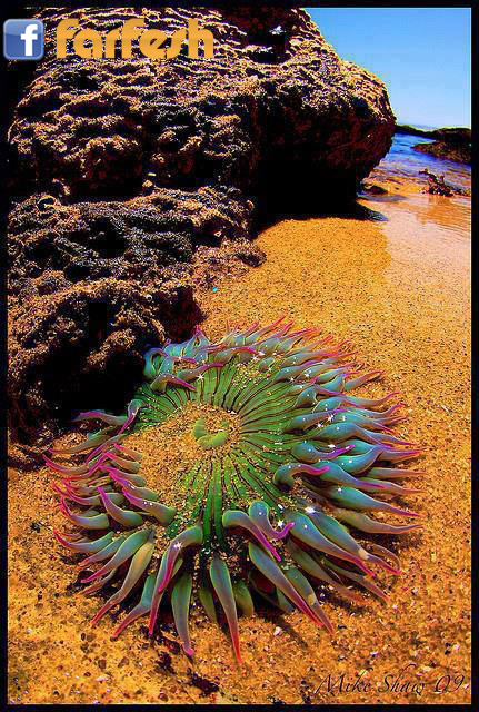 ����� ����� ����� �������