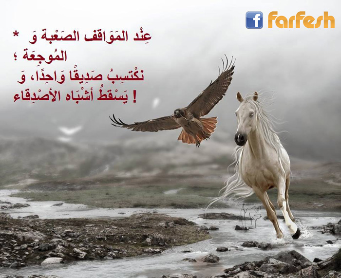 ��� ��� ������� ������ ���� ��������