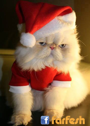 ������ ������  :-)