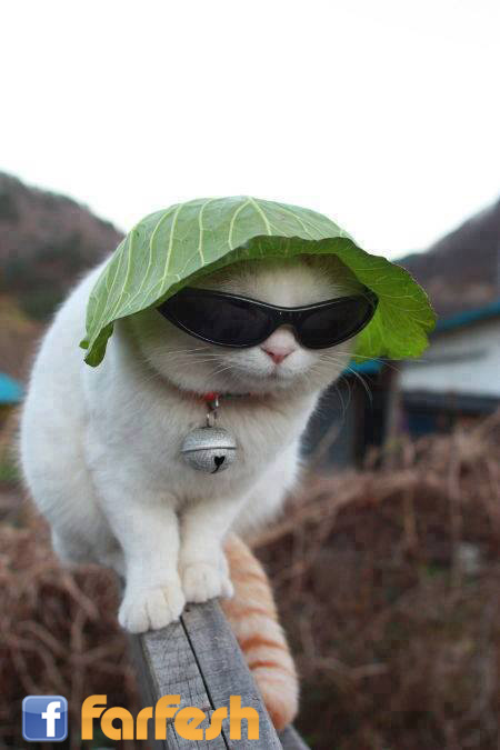 ���� �����... ����� ��� ����� �� ���� �����