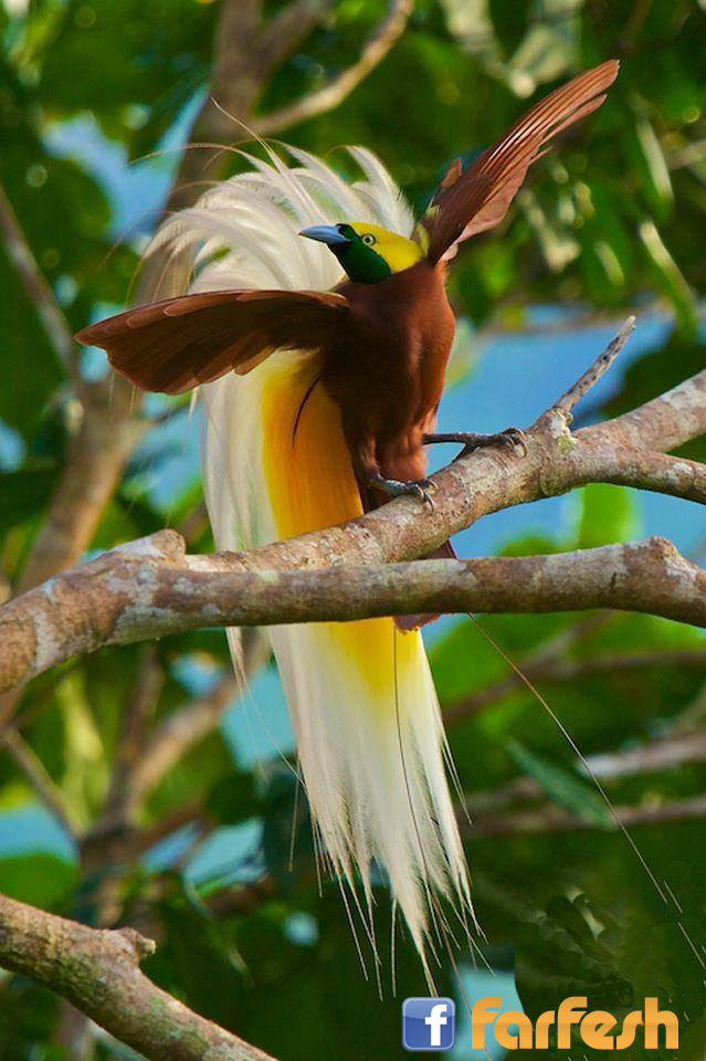 ��� ���� ����� ������� ���� ����� ���� ���� ����� ����� ������