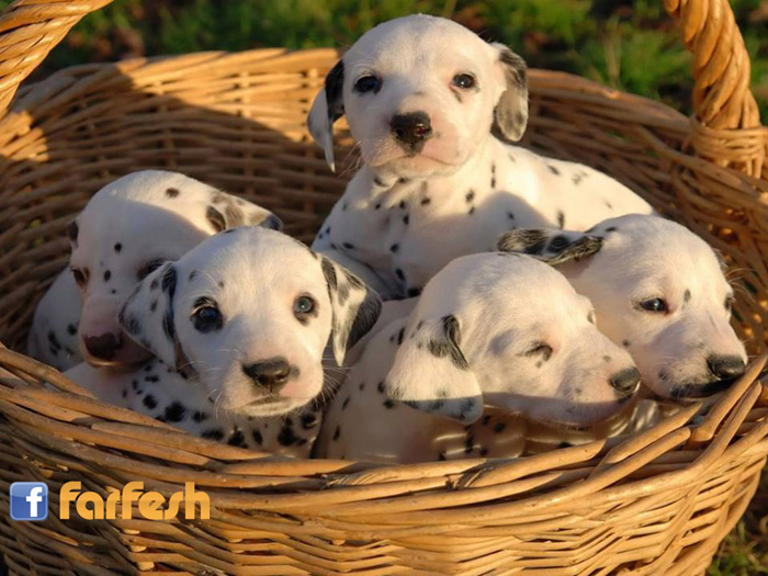 �� ������� �� �����