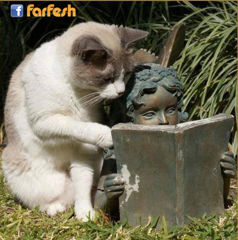 ���� ���� �� �����