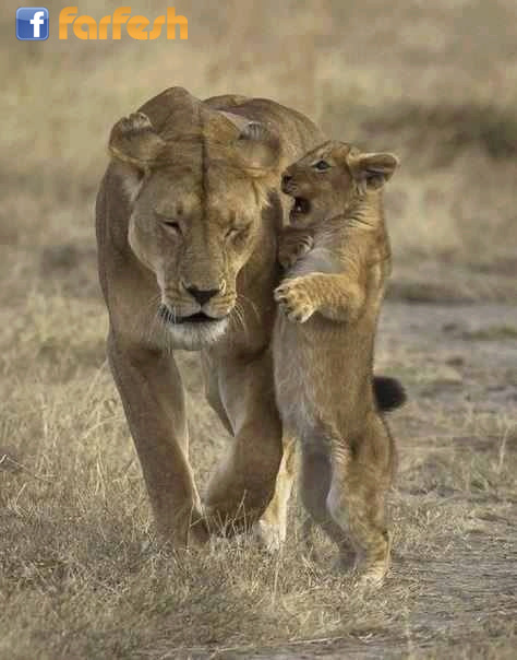 ����� ���� ���� ��� ����� ���� �