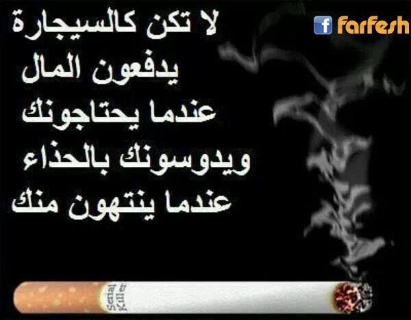 ������ ����� 