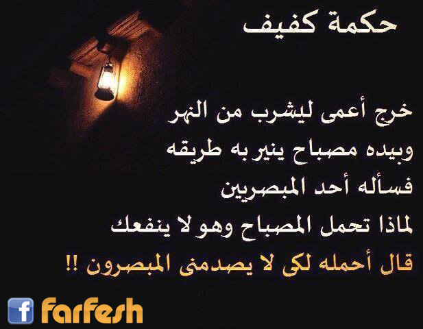 ���� ����