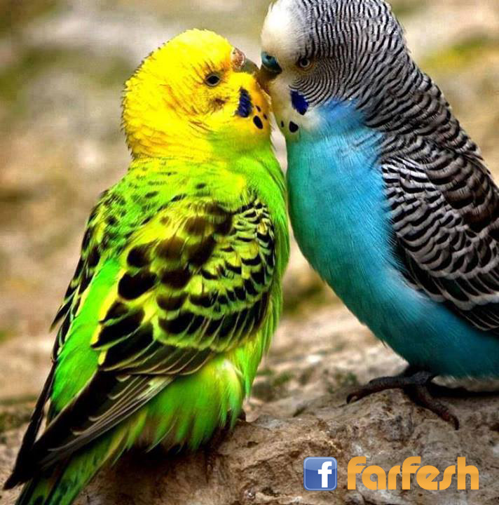 ���� ���� ��� ���� ��� ����