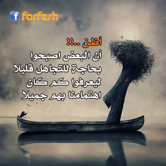 ���� ������ ����� ����� ��� ��� ���� �� ����