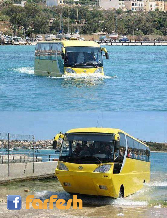 ..... ����� ������