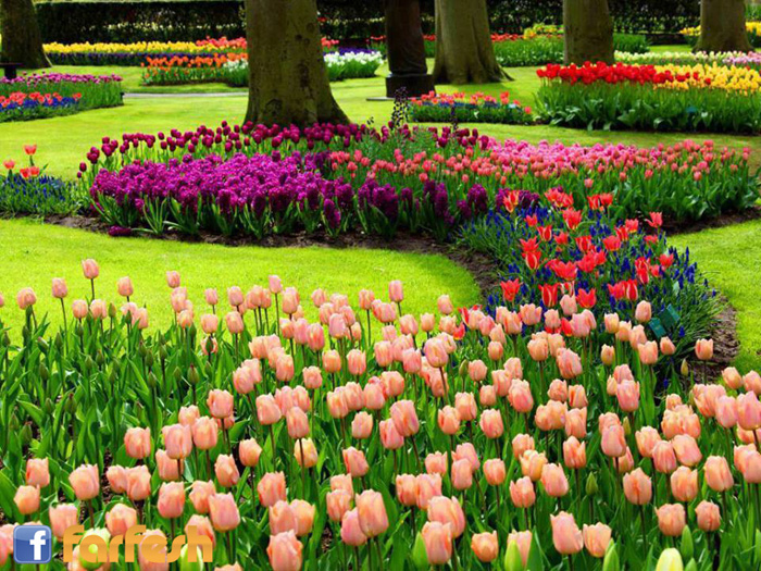 ���� ���� �����